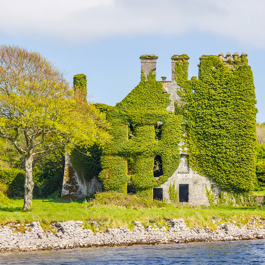 Ruins of Menlo Castle Galway Ireland covered in ivy.